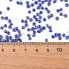 8/0 Glass Seed Beads SEED-A012-3mm-128-3