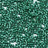 11/0 Grade A Baking Paint Glass Seed Beads SEED-S030-1039-2