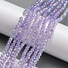 Transparent Baking Paint Glass Beads Strands DGLA-F002-02B-03-2
