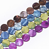 Freshwater Shell Beads Strands SHEL-T014-011-1