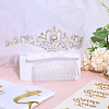 Bride to Be Veil & Alloy Bride Crown Hair Band & Glitter Bachelorette Sash & Sticker Set OHAR-WH0029-10-3