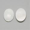 Freshwater Shell Cabochons SSHEL-R042-29-2