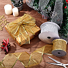 2 Rolls 2 Colors 9M Sparkle Polyester Mesh Ribbon with Paillettes OCOR-PH0005-94-2