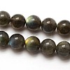 Grade AA Natural Gemstone Labradorite Round Beads Strands G-E251-33-8mm-2