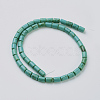 Natural Magnesite Beads Strands TURQ-K003-21D-3