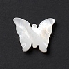 Natural White Shell Beads BSHE-G031-04-3