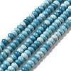 Natural Gemstone Beads Strands G-F730-04B-1