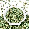 Picasso Glass Seed Beads SEED-N012-10J-2