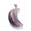Natural Amethyst Pendants X-G-Z022-02C-2