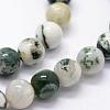 Natural Tree Agate Beads Strands G-I199-03-6mm-3