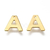 304 Stainless Steel Charms STAS-P141-A-1