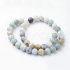Natural Flower Amazonite Bead Strands G-G735-61-10mm-2