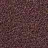 MIYUKI Round Rocailles Beads X-SEED-G008-RR0301-3