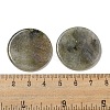 Natural Labradorite Pendants G-B071-01B-3