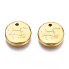 316 Surgical Stainless Steel Charms STAS-S116-418H-G-2