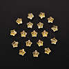 20Pcs Spray Painted Glass Beads GLAA-YW0001-15-1