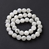 Natural Rainbow Moonstone Beads Strands G-I249-B04-03-5