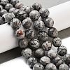 Natural Map Stone/Picasso Stone/Picasso Jasper Strands X-G-G099-10mm-27-5