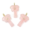 Natural Rose Quartz Carved Pendants G-C282-04B-1