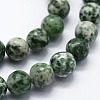 Natural Green Spot Jasper Beads Strands X-G-I199-30-12mm-3