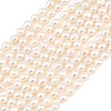 Natural Cultured Freshwater Pearl Beads Strands PEAR-D003-01A-2