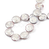 Plating Natural Freshwater Shell Beads Strands SHEL-N026-225C-4