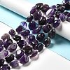 Natural Amethyst Beads Strands G-B026-02B-4