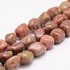 Natural Unakite Beads Strands G-K153-D30-1