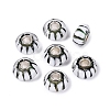Handmade Lampwork & Brass Core European Beads LAMP-N044-01S-01-1