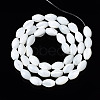 Natural Trochid Shell/Trochus Shell Beads Strands SSHEL-S266-021A-02-2