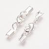 Silver Color Plated Brass Clip Ends X-KK-G144-S-2