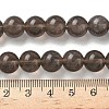 Natural Ice Obsidian Beads Strands G-P590-A03-10mm-01-3