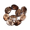 Natural Tree Bark Agate Beads Strands G-Q606-23B-2