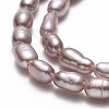 Natural Cultured Freshwater Pearl Beads Strands PEAR-J006-03B-3