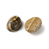 Natural Picture Jasper Cabochons G-A094-01B-48-2