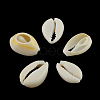 Natural Mixed Cowrie Shell Beads BSHE-S053-01-3