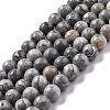 Natural Map Stone/Picasso Stone/Picasso Jasper Bead Strands G-D840-60-8mm-1