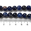Natural South Africa Sodalite Beads Strands G-S259-35-8mm-8