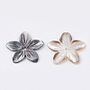 Natural Black Lip Shell Beads SHEL-S269-70-2