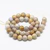 Natural Fossil Coral Beads Strands G-R446-8mm-28-2