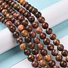 Natural Leopard Skin Jasper Beads Strands G-J358-05-8mm-6