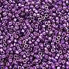 MIYUKI Delica Beads SEED-MY11-DB2508-2