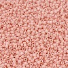 MIYUKI Delica Beads X-SEED-J020-DB1513-3