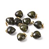 Natural Dragon Blood Pendants G-I311-A05-G-3