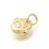 Brass Pendants KK-L225-007G-02-2