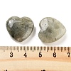 Heart Natural Labradorite Palm Stones G-C134-06A-17-3
