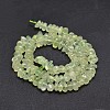 Natural Prehnite Chip Beads Strands X-G-E271-99-2