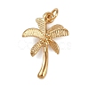 304 Stainless Steel Pendants STAS-K301-03F-G-1