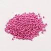 11/0 FGB Grade A Baking Paint Glass Seed Beads X-SEED-N001-A-1044-3