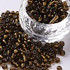 6/0 Glass Seed Beads SEED-A005-4mm-53-1